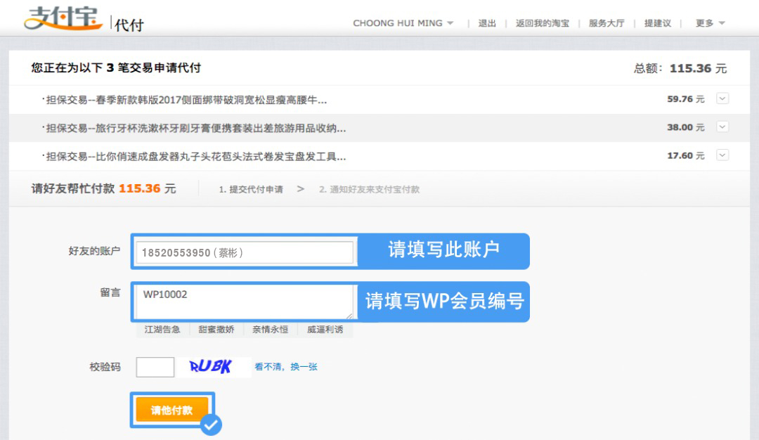 alipay-guide-4