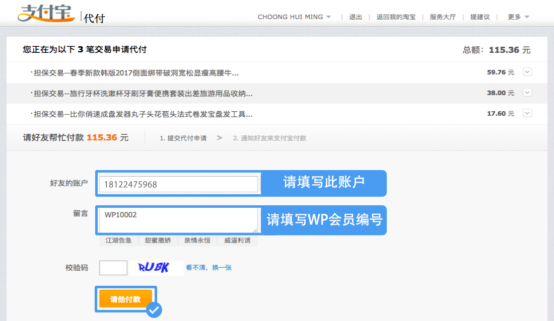 alipay-guide-4
